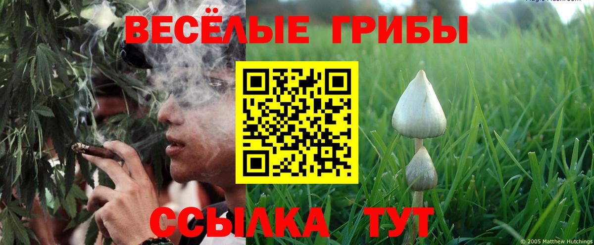Галлюциногенные грибы MAGIC MUSHROOMS  Вход с VPN  Норильск 