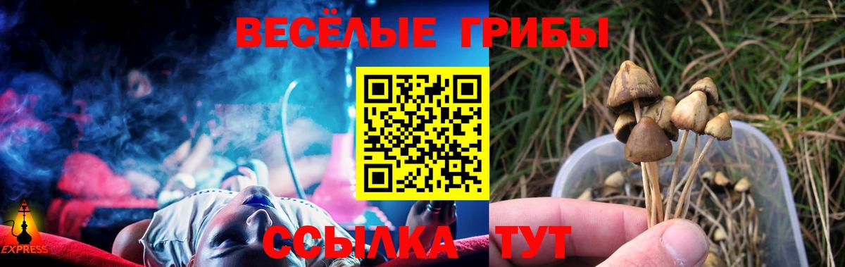 Галлюциногенные грибы Cubensis Норильск